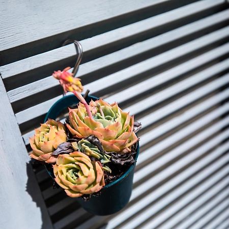 L' Evea Garden 勒勒莱克凯尔于永 外观 照片